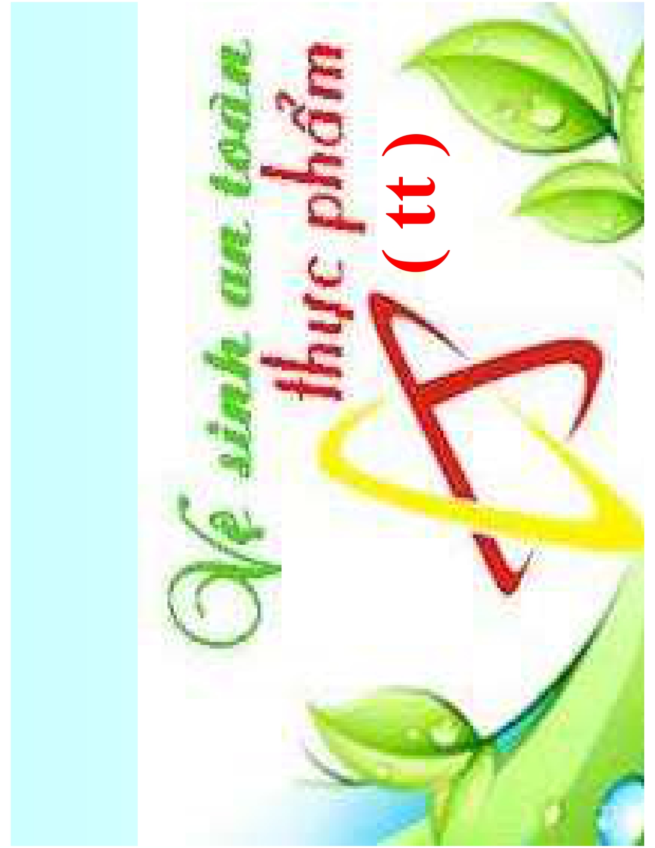 CN6-VỆ SINH AN TOÀN THỰC PHẨM TT