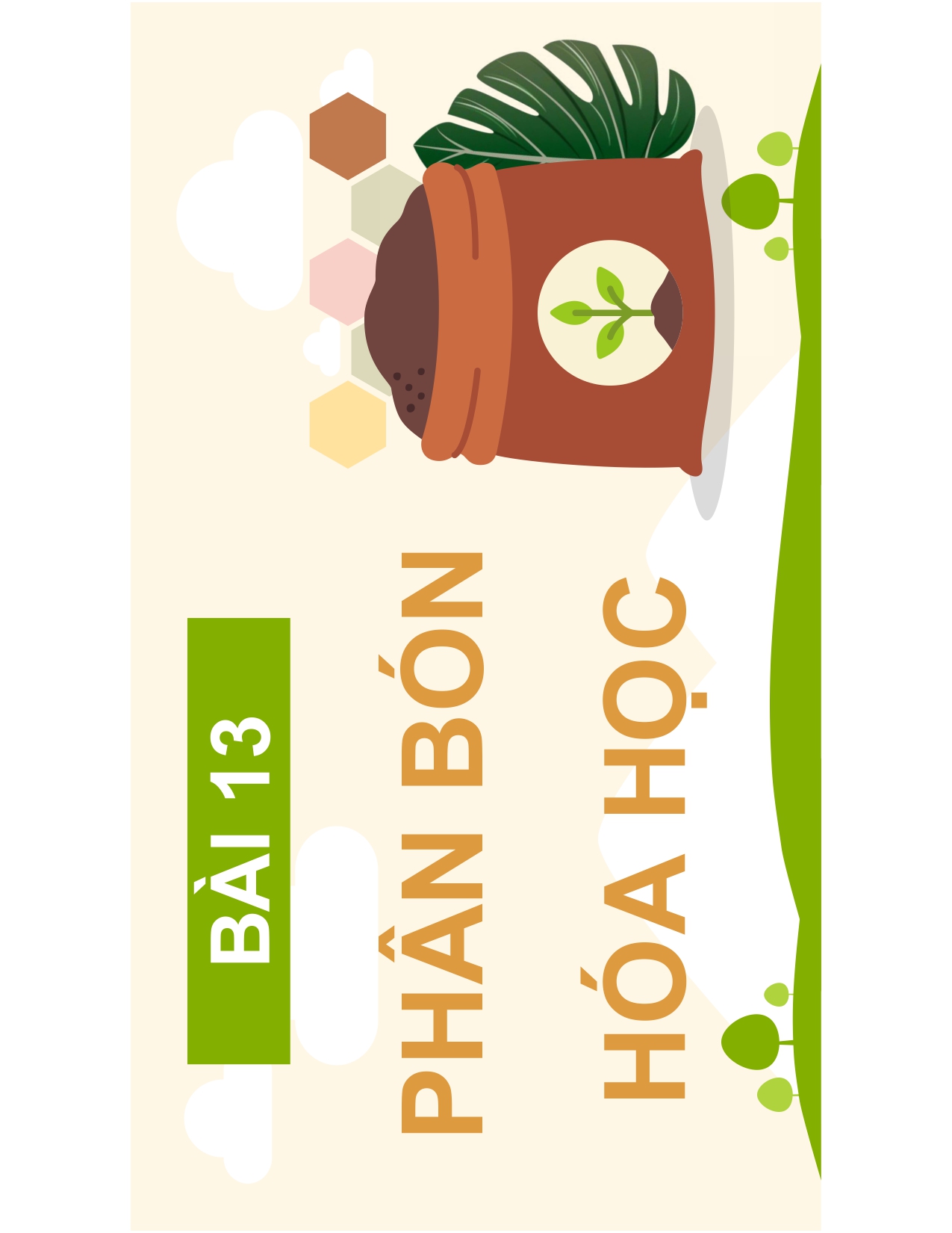 BÀI 13 PHÂN BÓN HOÁ HỌC