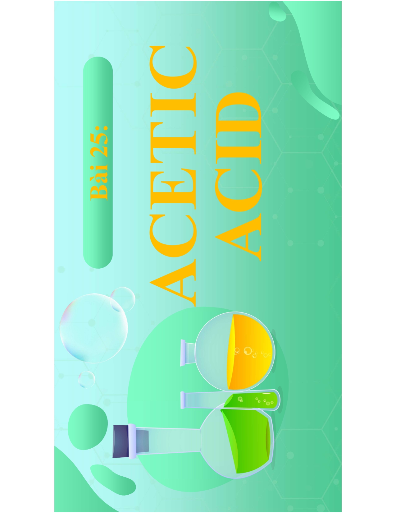 Bài 25 : ACẺTIC ACID