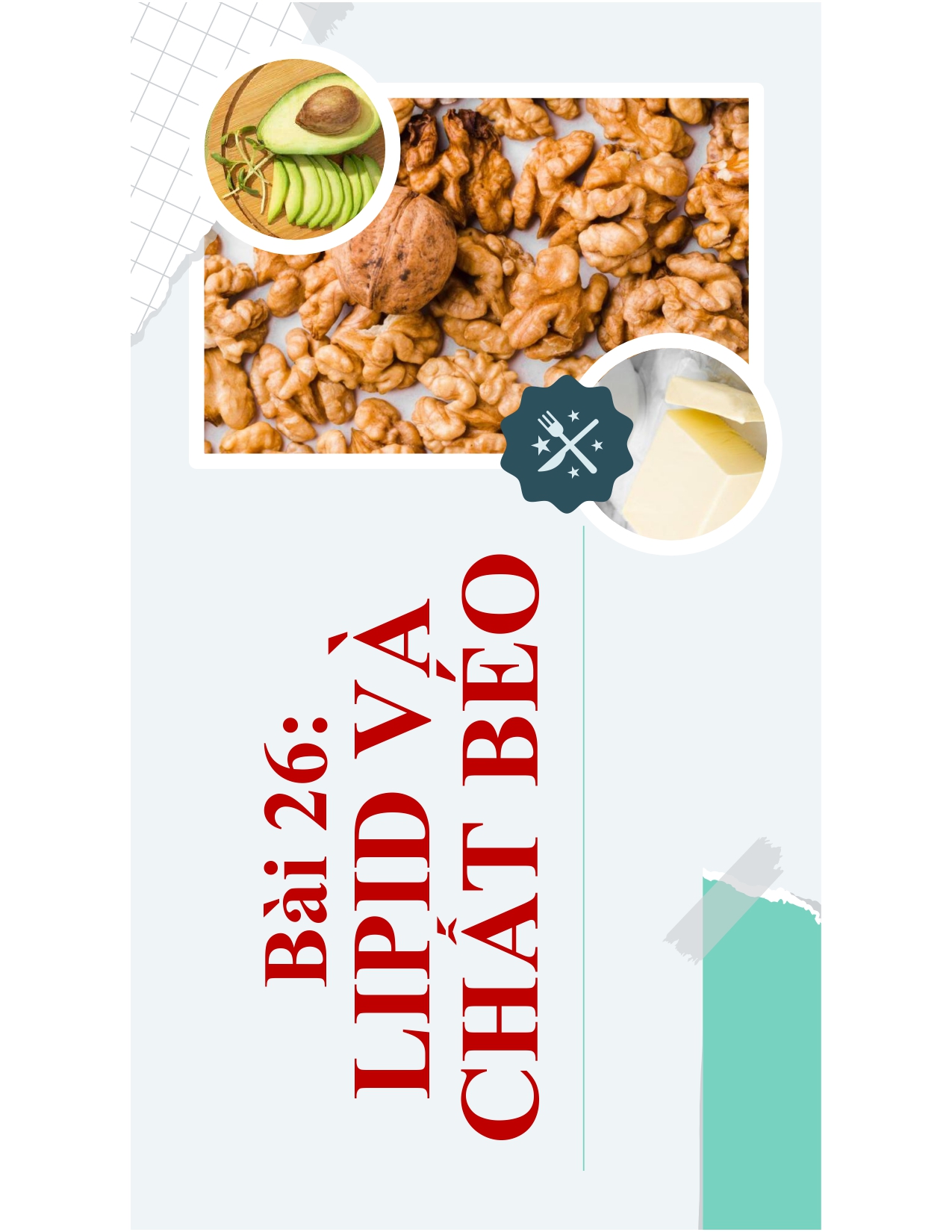 Bài 26: LIPID VÀ CHẤT BÉO
