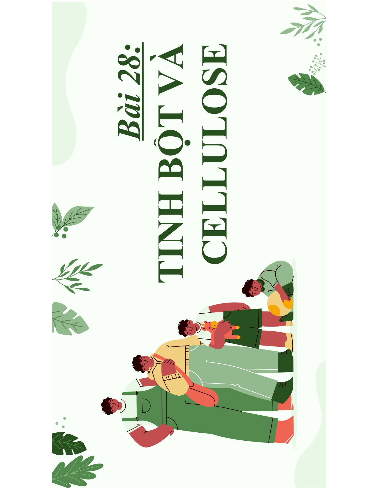 Bài 28: TINH BỘT VÀ CELLULOSE