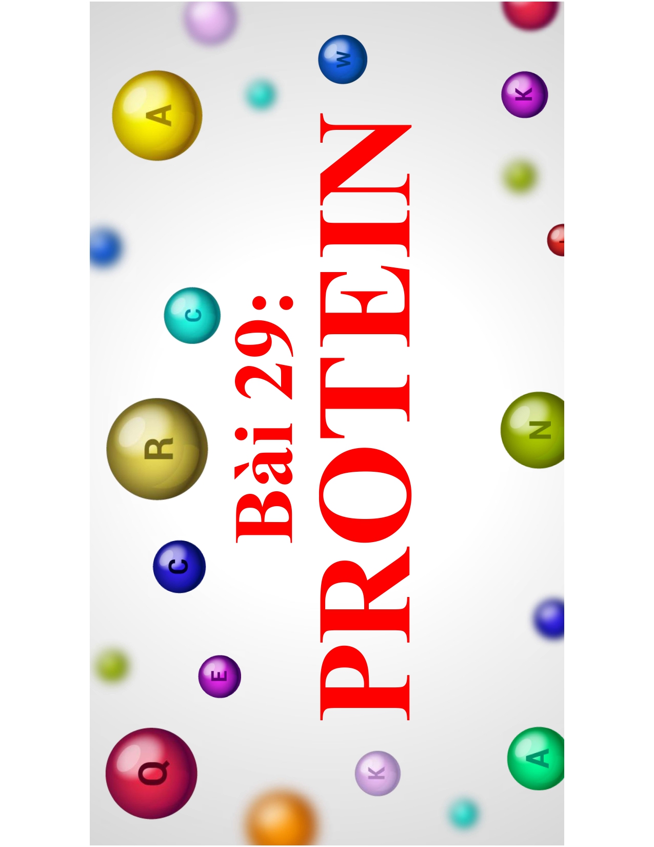 Bài 29: PROTEIN