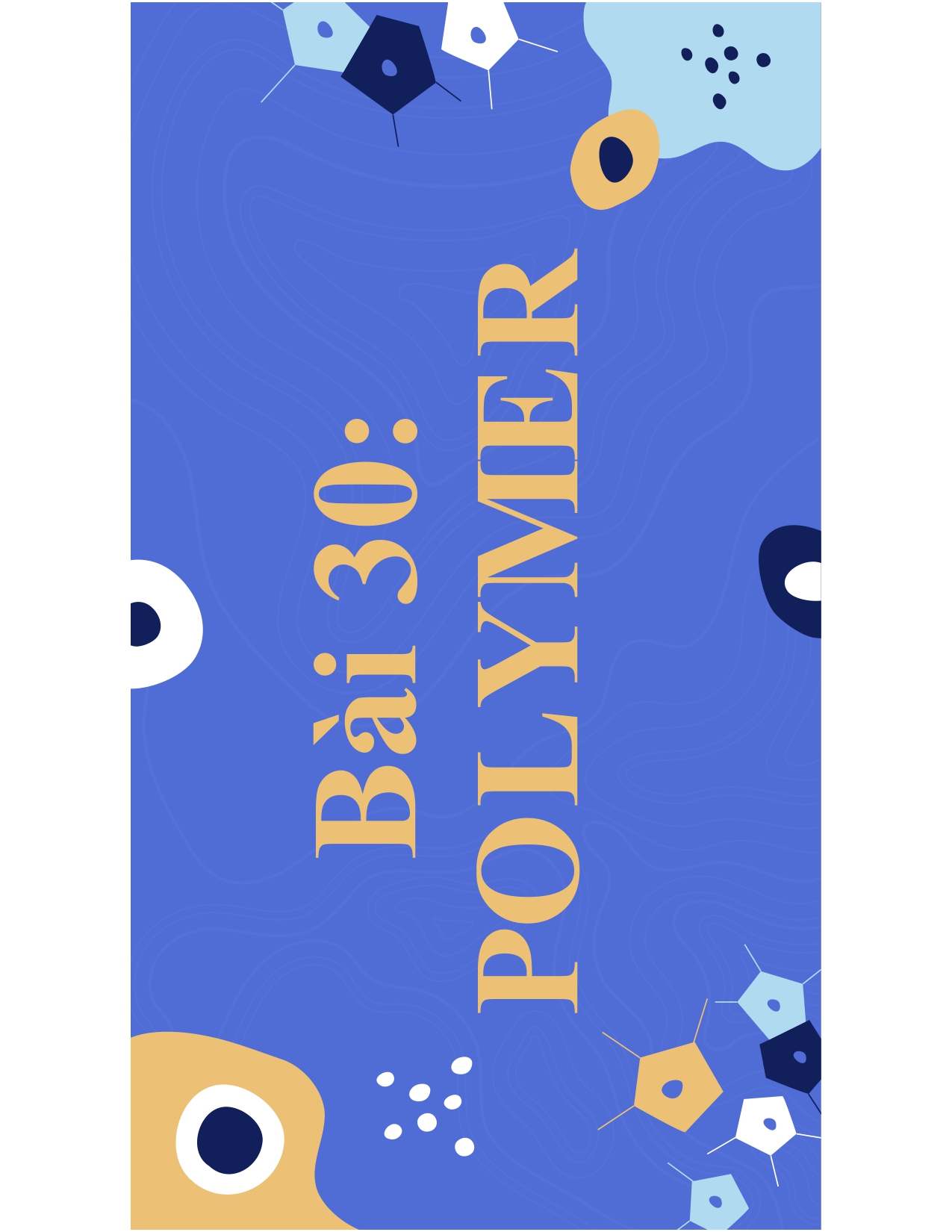 Bài 30 : POLYMER