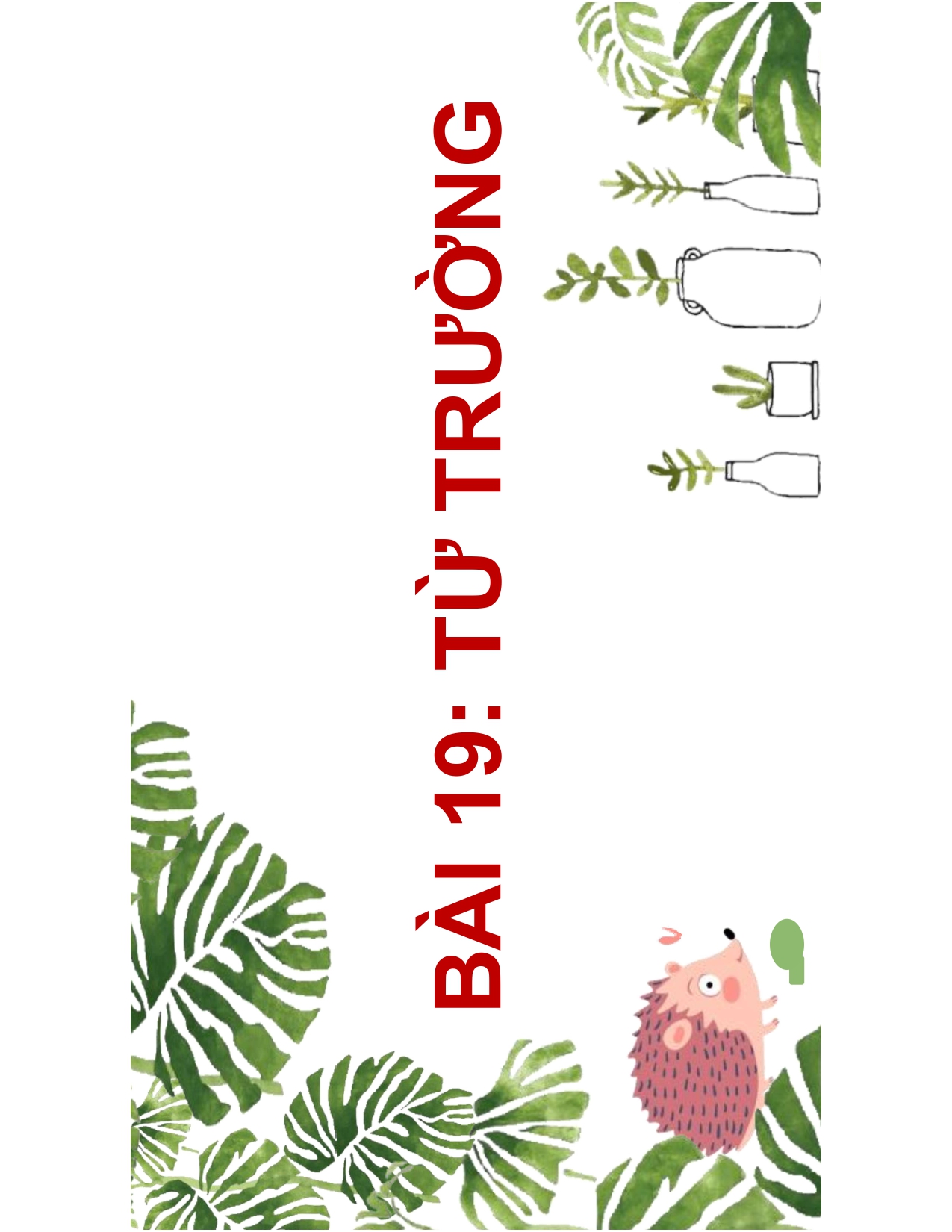 BÀI 19 TỪ TRƯỜNG