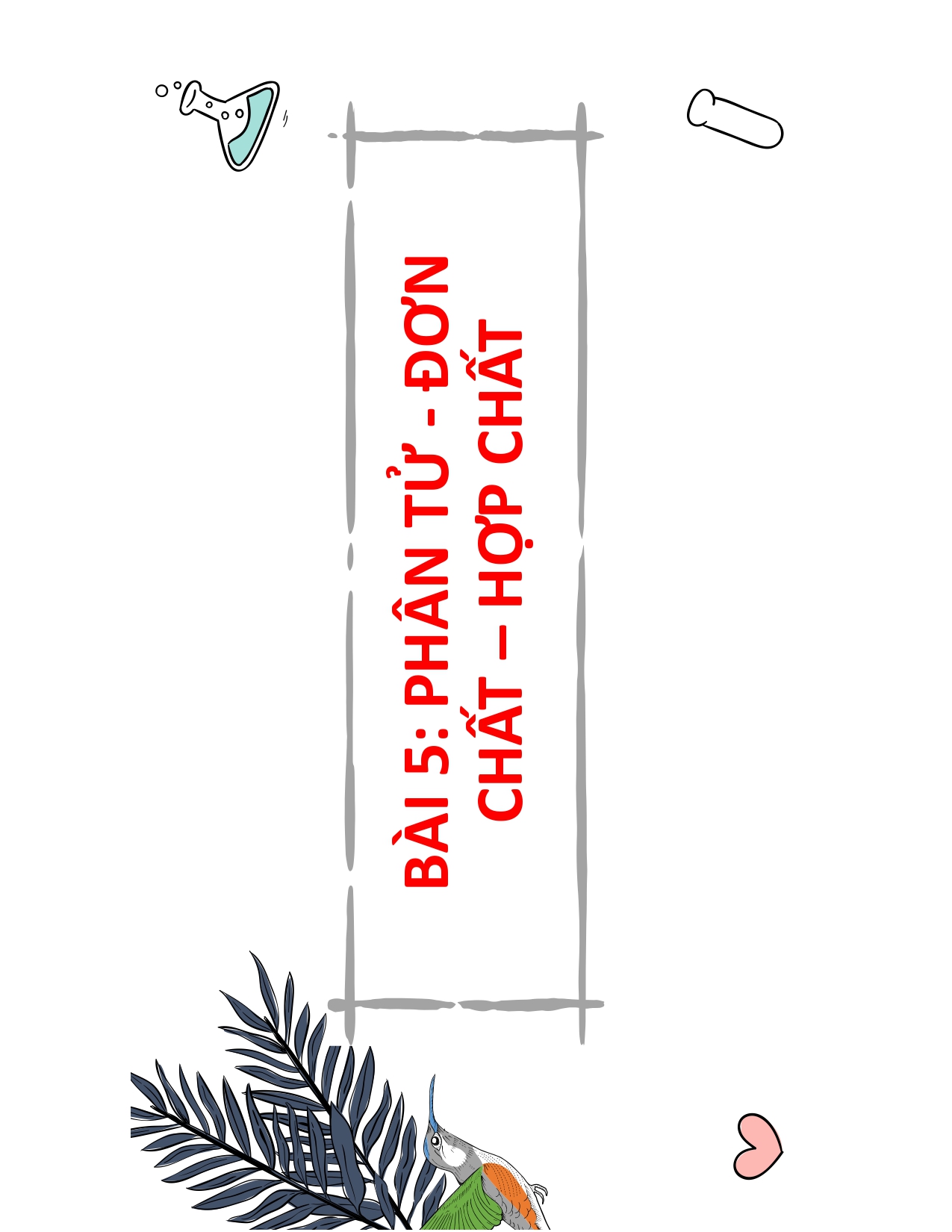 BÀI 5: PHÂN TỬ - ĐƠN CHẤT – HỢP CHẤT
