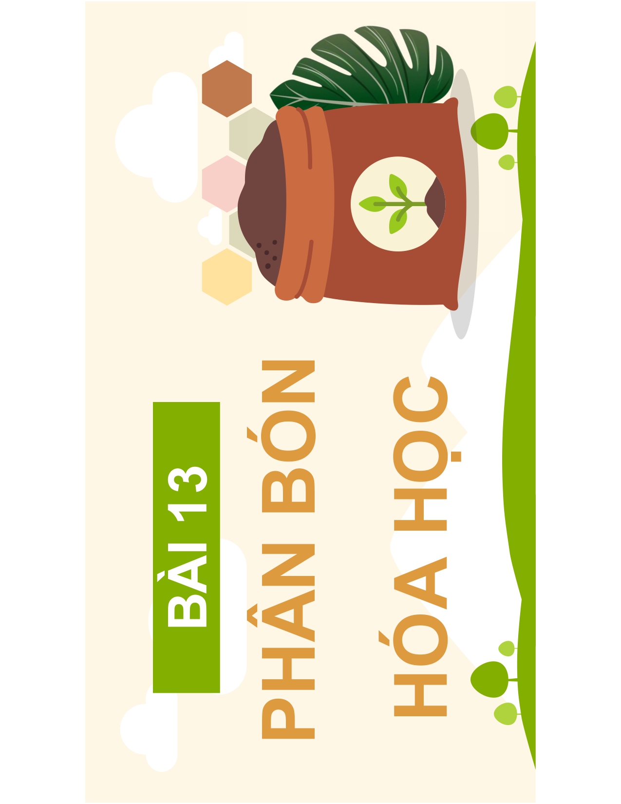 BÀI 13 PHÂN BÓN HOÁ HỌC