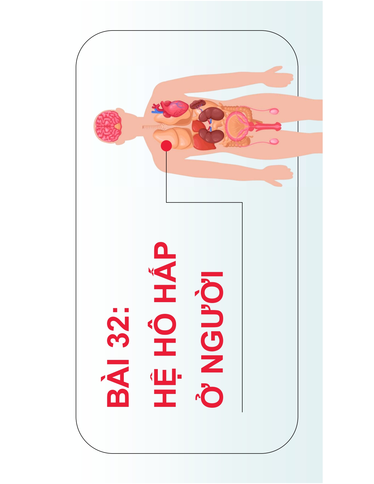 BÀI 32: HỆ HÔ HẤP Ở NGƯỜI