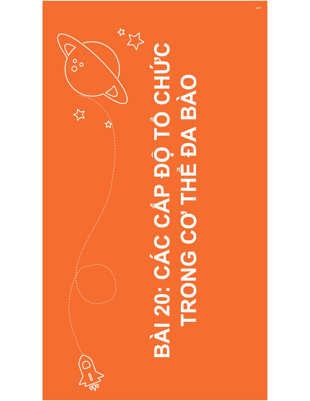 BÀI 20: CÁC CẤP ĐỘ TỔ CHỨC TRONG CƠ THỂ ĐA BÀO