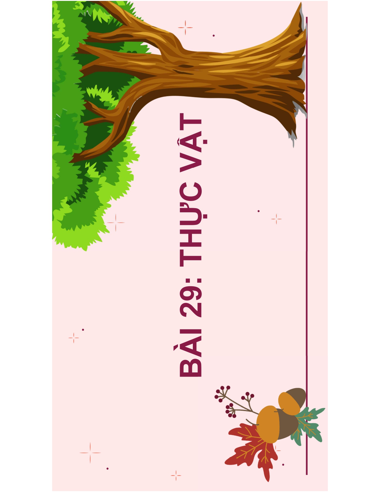 BÀI 29: THỰC VẬT