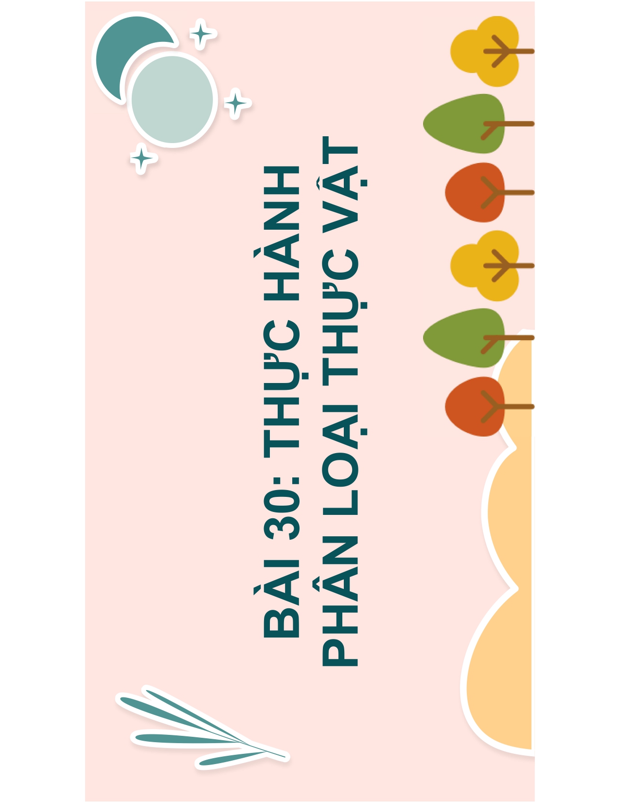 BÀI 30: THỰC HÀNH PHÂN LOẠI THỰC VẬT